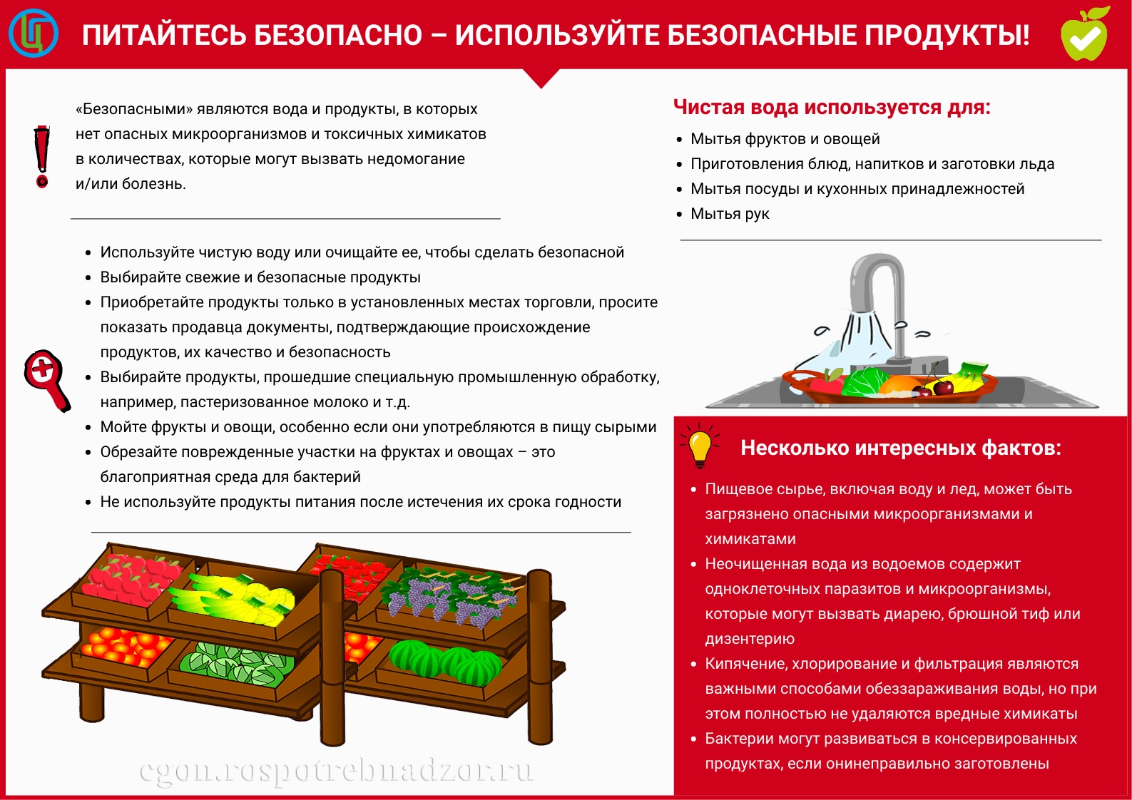 Сделать Фото На Документы В Кирове